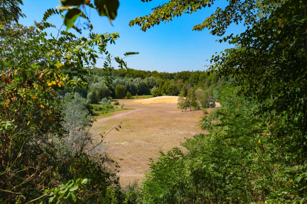 Sand pit in Berlin Grunewald forest Sand dunes in the forest, a nature reserve and urban wildlife habitat. "Im Jagen" sandpits at Grunewald forest, Berlin, Germany. grunewald berlin stock pictures, royalty-free photos & images