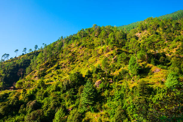 istock Himalaya mountains panoramic landscape, India 1279673370