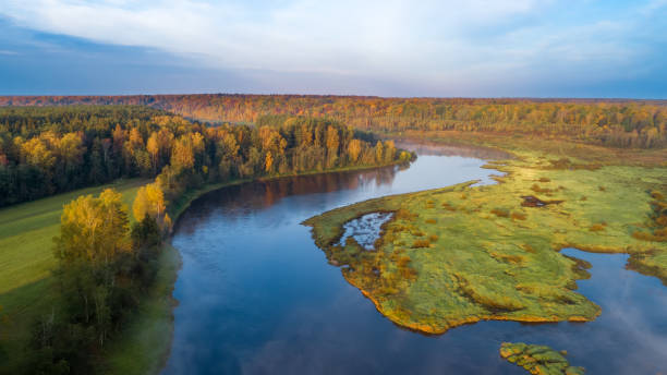 istock Autumn forest and river aerial drone view 1279673580