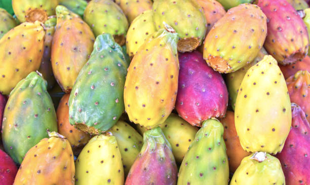 beaucoup de poires piquantes fraîches sur un marché - prickly pear fruit photos photos et images de collection