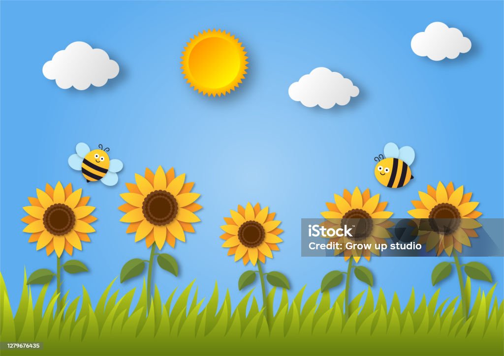 Sunflower Field Landscape With Bee Paper Art Style Isolated On Blue  Background Illustration Vector Stock Illustration - Download Image Now -  iStock