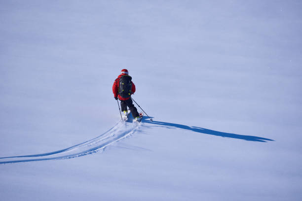 istock Back country skier skiing first track in powder snow. 1279676583