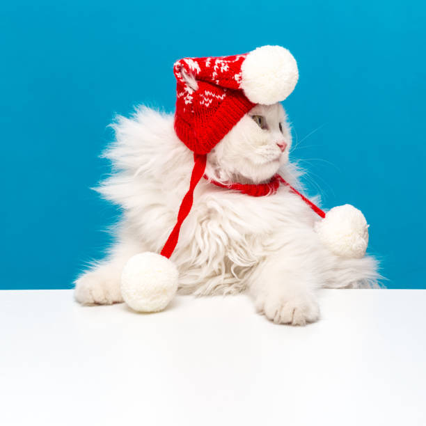 istock Winter is coming and I'm ready for winter with Red Stocking Hat on White Table 1279676825