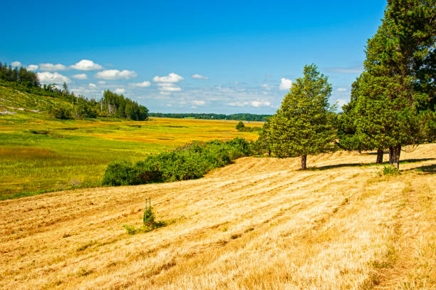 istock Choate Island in Ipswich 1279680168