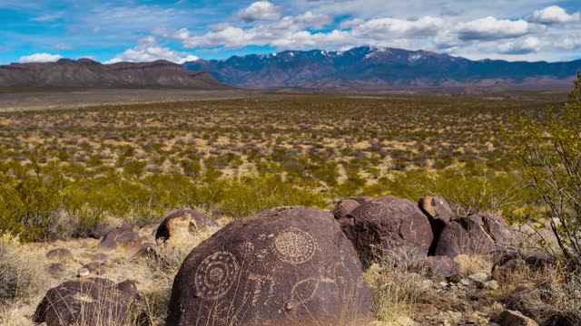 Ancient Native American Petroglyph: Three Rivers Petroglyph Site: New Mexico: USA