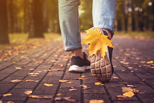 A yellow autumn leaf stuck to the sole of the sneaker. Walk in the autumn park.