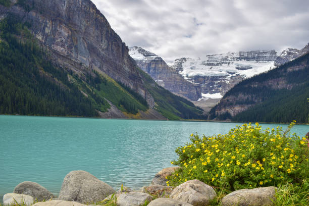 istock Lake Louise at Banff National park Alberta Canada 1279687795