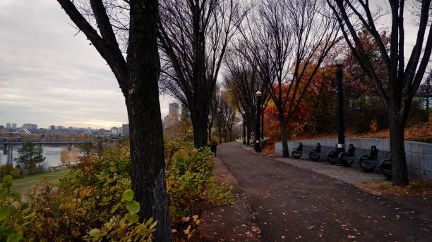 istock Edmonton park in fall season and autumn landscape 1279687884