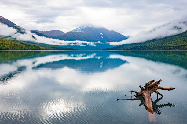 Alaska northern lake with snow mountains in the back water reflection