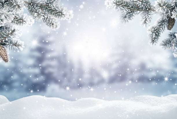 joyeux noël et bonne carte de voeux de la nouvelle année. paysage d’hiver avec la neige. fond de noël avec la branche et les cônes de sapin - christmas tree branch photos et images de collection