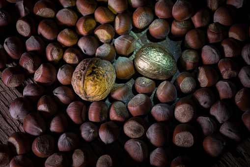 Still life with whole hazelnuts on rustic old wooden table. View from above Creative table decoration. Closeup. Selective focus