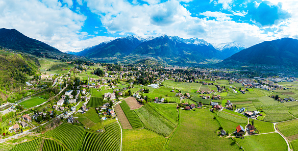 South Tyrol vineyards aerial panoramic view near Meran or Merano town in northern Italy