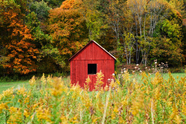 Free Stock Photo of Red Barn Standing in the Middle of a Field ...