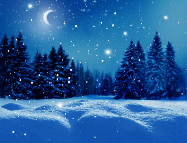 winter  background .merry christmas and happy new year greeting card with copy-space. christmas night landscape with moon  and fir trees - landscape fir tree nature sunrise imagens e fotografias de stock