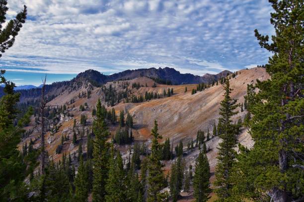 istock Sunset Peak hiking trail views towards Devil’s Castle Sugarloaf Mountain at Alta Resort on Great Western Trail in Rocky Wasatch Front Mountains, Midway and Heber, Utah. United States. 1279695961