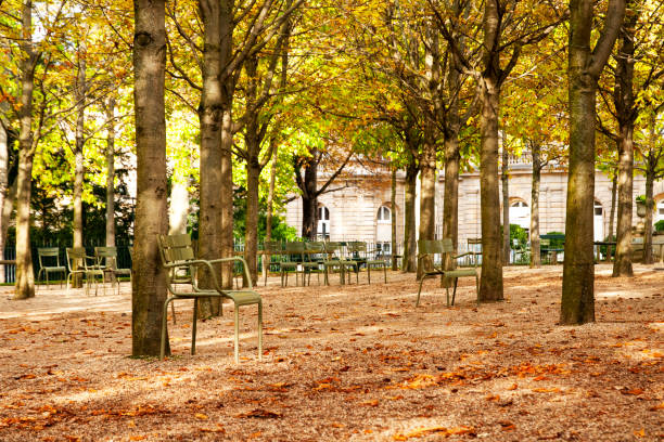 paris : jardin du luxembourg à l’automne. - jardin luxembourg photos et images de collection