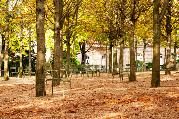 Paris : Jardin du Luxembourg in autumn. Paris : Jardin du Luxembourg in autumn. No people during pandemic Covid19 in France, in autumn 2020. luxembourg paris stock pictures, royalty-free photos & images