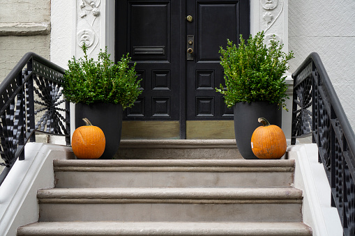 Thanksgiving decorated front door with pumpkins and potted plants. Autumn season.