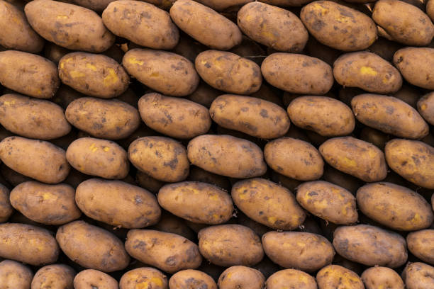Potatoes