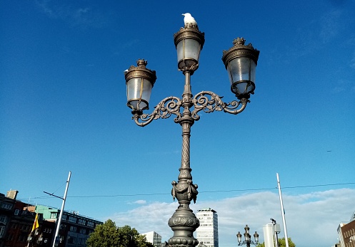 Three lamps on O'Connell Bridge, Dublin city centre, with a seagull perched on top.