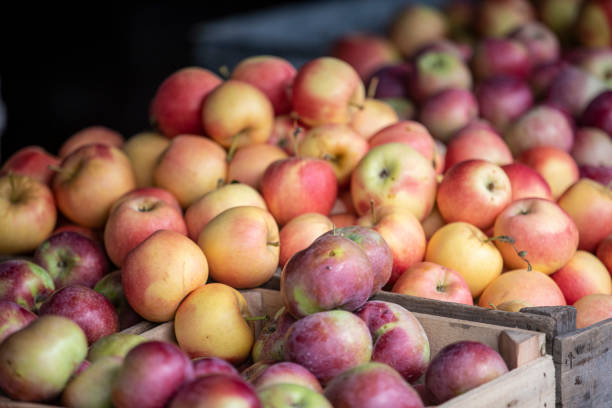 istock Apples on display at a farmers market 1279704351