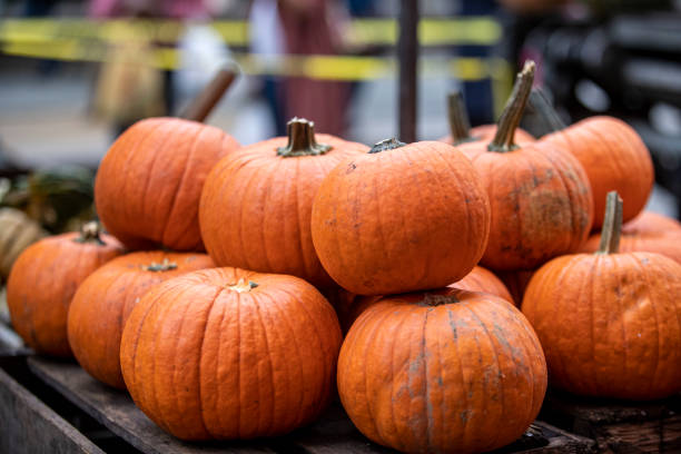 istock Pumpkins on display at a farmers market 1279704554