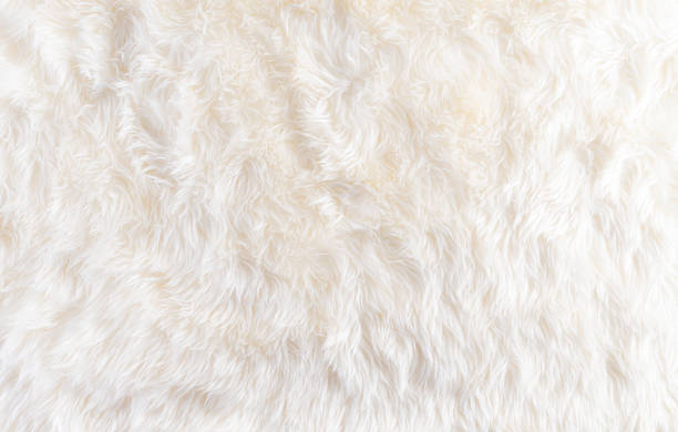 istock Winter cozy background made from wool carpet with space, top view. 1279707299