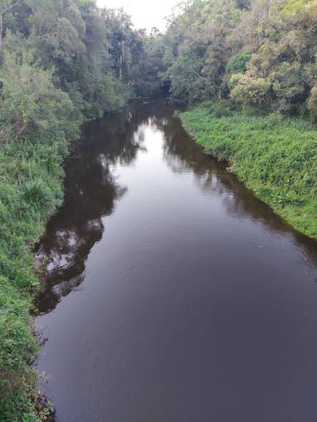 istock River Taquari Paiol From Below 1279708823