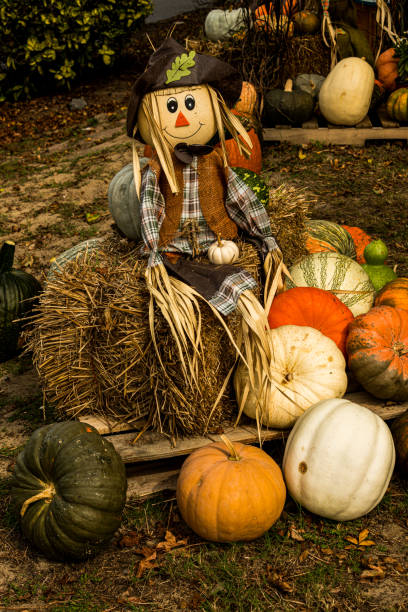 istock Pumpkins and Scarecrow in the Market 1279708954