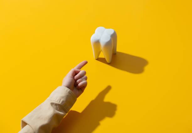 istock female hand points a finger at a tooth 1279710800
