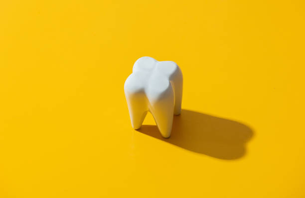 istock big white tooth on yellow background 1279711010