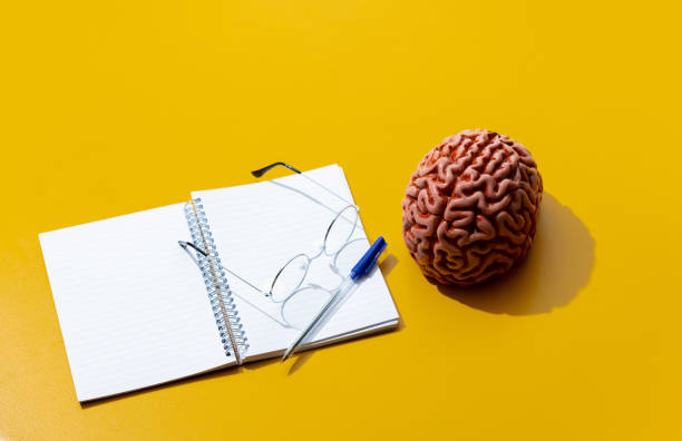 istock Notebook, brain and glasses on yellow background 1279711014