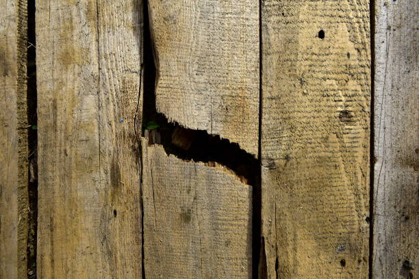 istock broken wooden old plank on the floor 1279711147