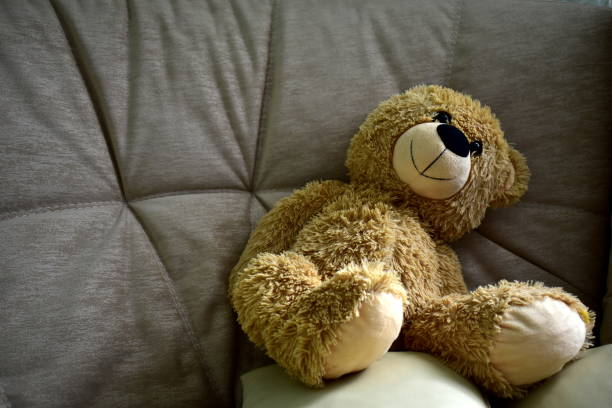 istock soft toy on the couch 1279711198