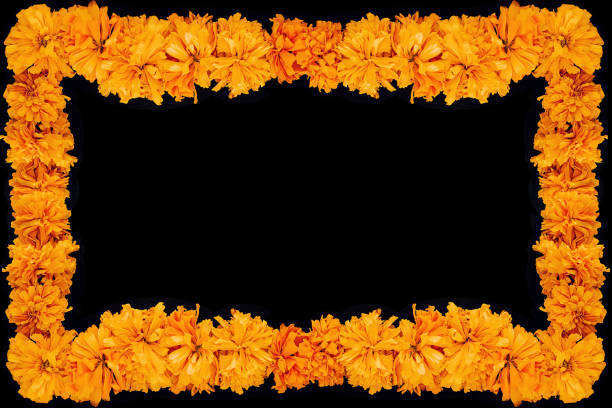 Cempasuchil Flower Frame Mexican Flower Of The Day Of The Dead In Mexico  Stock Photo - Download Image Now - iStock