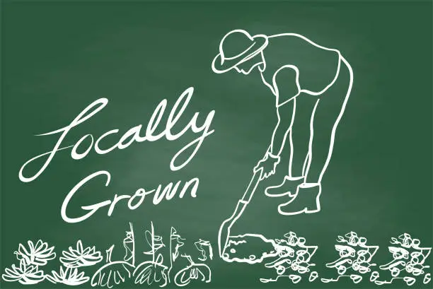 Vector illustration of Local Vegetable Gardener Chalkboard