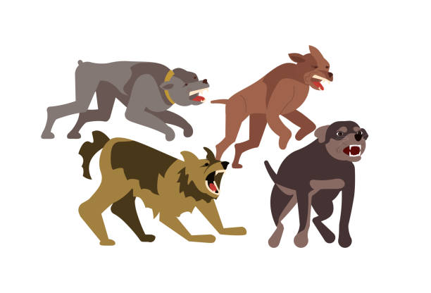 Flock Of Wild Stray Dogs Stock Illustration - Download Image Now - Dog,  Anger, Displeased - iStock