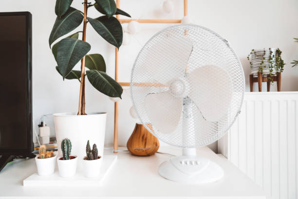 Plant and fan for living room decor Living room decor, plants and a fan for hot summer days. Modern decor in a living room. electric fan stock pictures, royalty-free photos & images