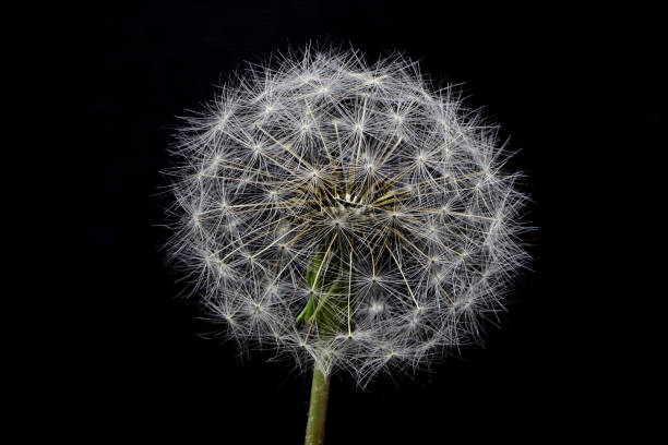 istock Beauty of HIS creation 1279725131