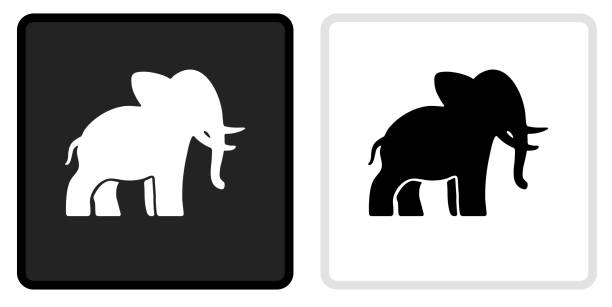 illustrazioni stock, clip art, cartoni animati e icone di tendenza di icona elefante sul pulsante nero con rollover bianco - elefante immagine