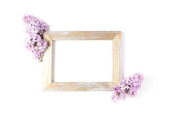 istock gold frame decorated with lilac flowers on a white background. minimalistic composition, space for text, flat lay 1279731474