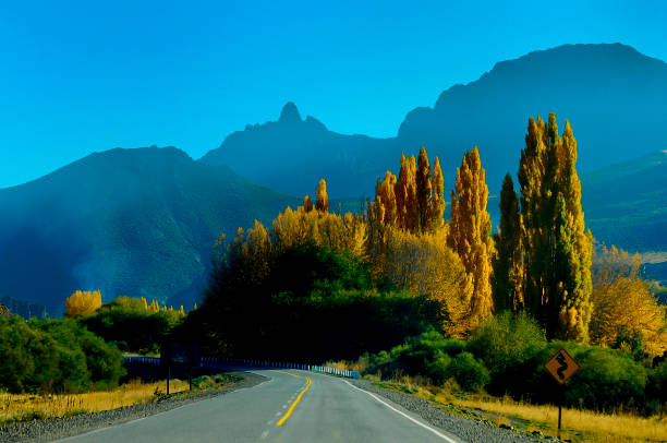 고속도로 40 - south america argentina bariloche autumn 뉴스 사진 이미지