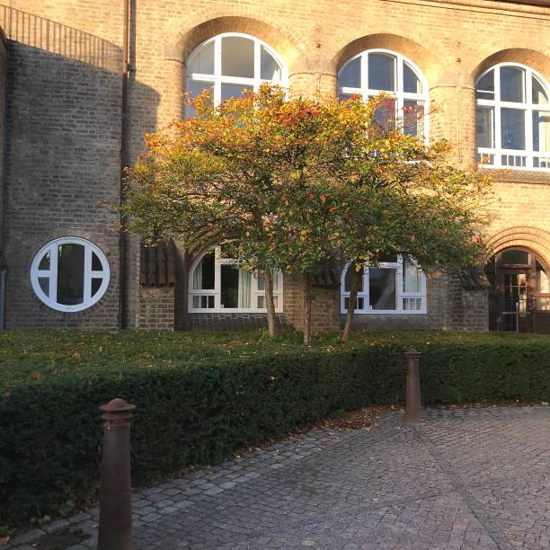 istock Three small trees with autumn leaves in front of old brick wall building 1279737031
