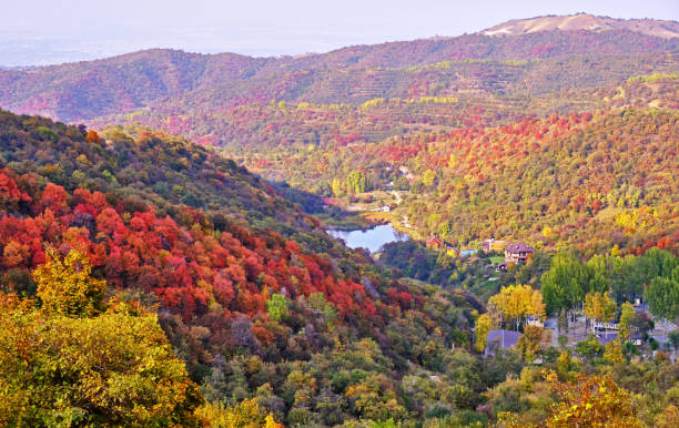 istock Mountain Lake  Autumn Forest 1279738161