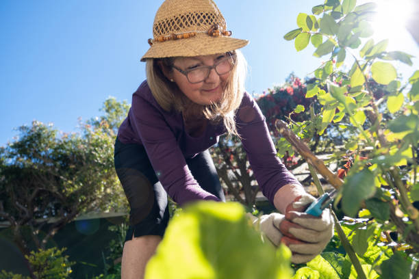 istock Senior woman pruning her plants 1279739038