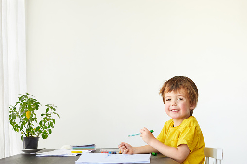 4 years old child Cute boy draws at the table and looks at the camera on a white background