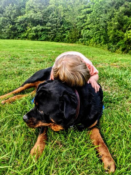istock A boy and man's best friend 1279746859