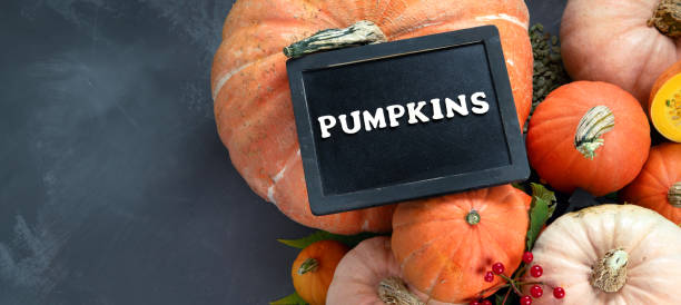 istock Assortment of raw pumpkins 1279747254