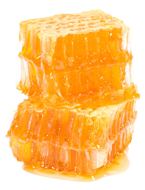 istock Honeycomb isolated on white background. full depth of field 1279747379