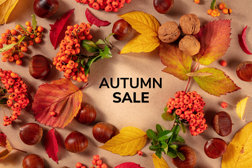 Autumn Sale banner with chestnuts, nuts, and autumn leaves, overhead flat lay shot on a brown background